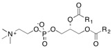 general mixed acyl phospholipid.jpg